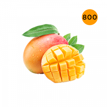 L'ARISÉ - 800 - MANGO