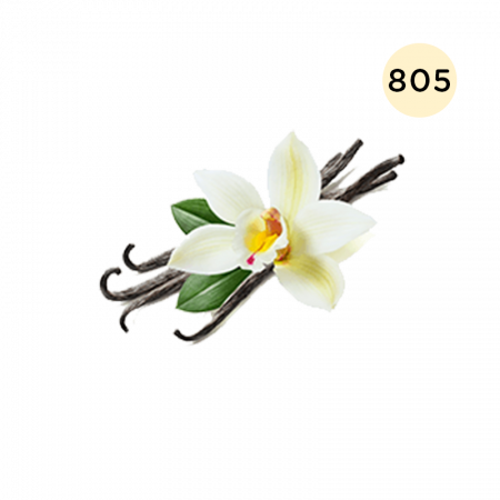 L'ARISÉ - 805 - VANILLA