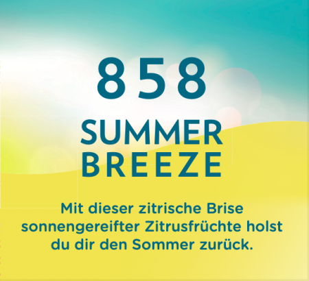 Duftset Eigenkreationen