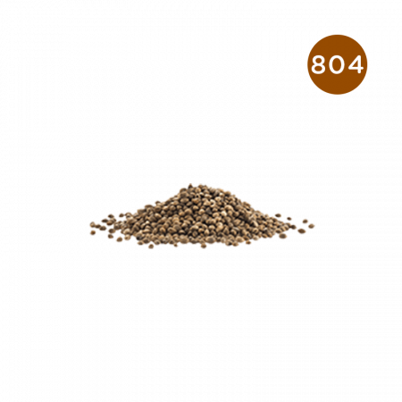 L'ARISÉ - 804 - Muschio